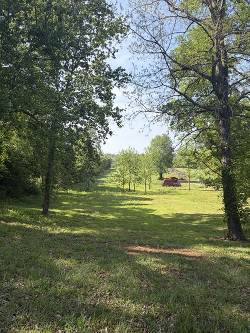 0 Old Morrison Rd, Mcminnville, TN, 37110 | Card Image