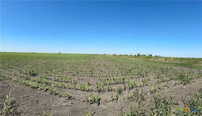 8500 N Fork Rd, Home with 0 bedrooms, 0 bathrooms and null parking in Bartlett TX | Image 18