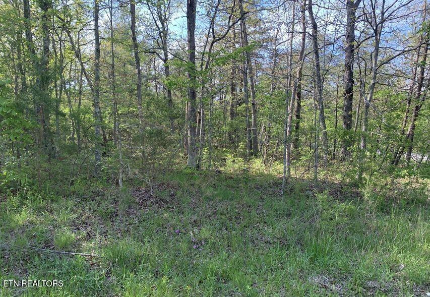 Land in Crossville 3