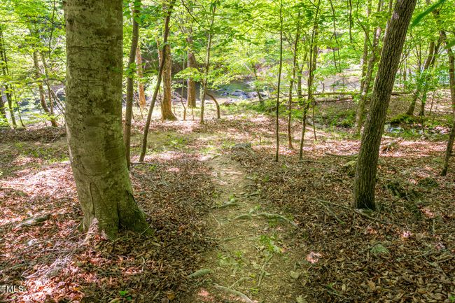 Walking Trail to Little River Access | Image 45