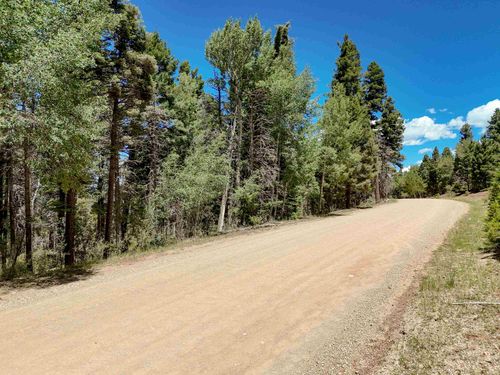 Lot 55 Back Basin Rd, Angel Fire, NM, 87710-8015 | Card Image