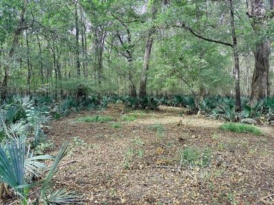 Cleared area near cabin 2 | Image 1