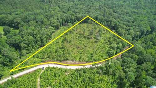 0-6116 Bull Gap Rd, Goodwater, AL, 35072 | Card Image