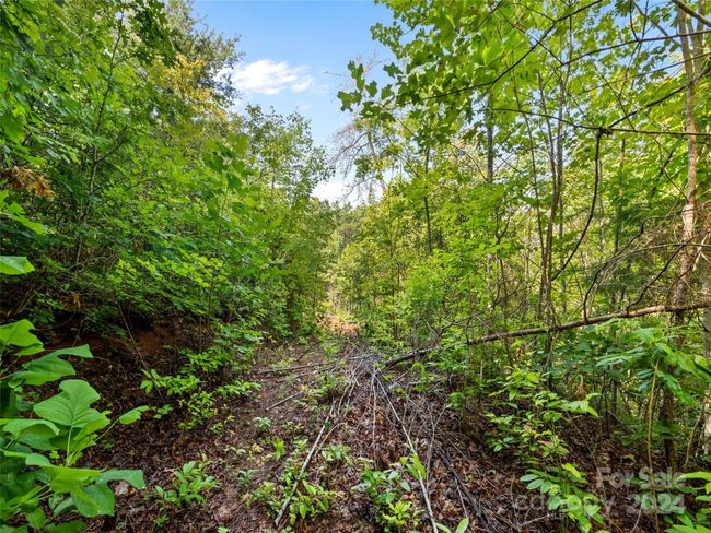 00 Ashe Loop Rd, Home with 0 bedrooms, 0 bathrooms and null parking in Sylva NC | Image 8