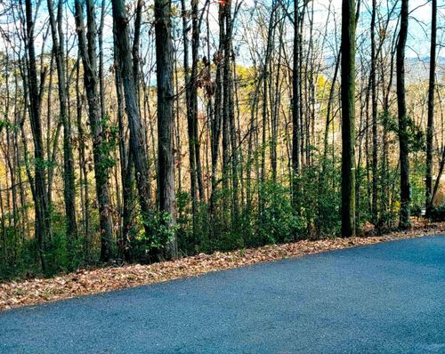 1808 Brown St, Guntersville, AL, 35976-1332 | Card Image