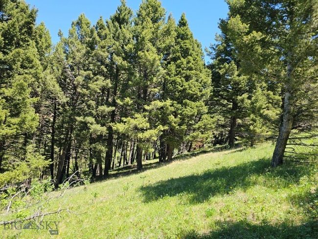 634 Clancy Creek   Corbin Road, Home with 0 bedrooms, 0 bathrooms and null parking in Clancy MT | Image 10