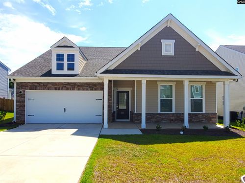 351 Chapin Place Way, Chapin, SC, 29036-9880 | Card Image