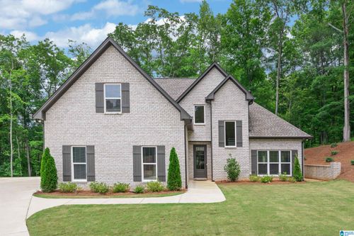 163 Brynleigh Dr, CHELSEA, AL, 35043-3059 | Card Image