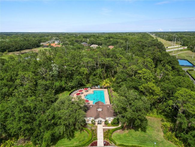 16804 Hawkridge Rd, House other with 4 bedrooms, 2 bathrooms and null parking in Lithia FL | Image 57