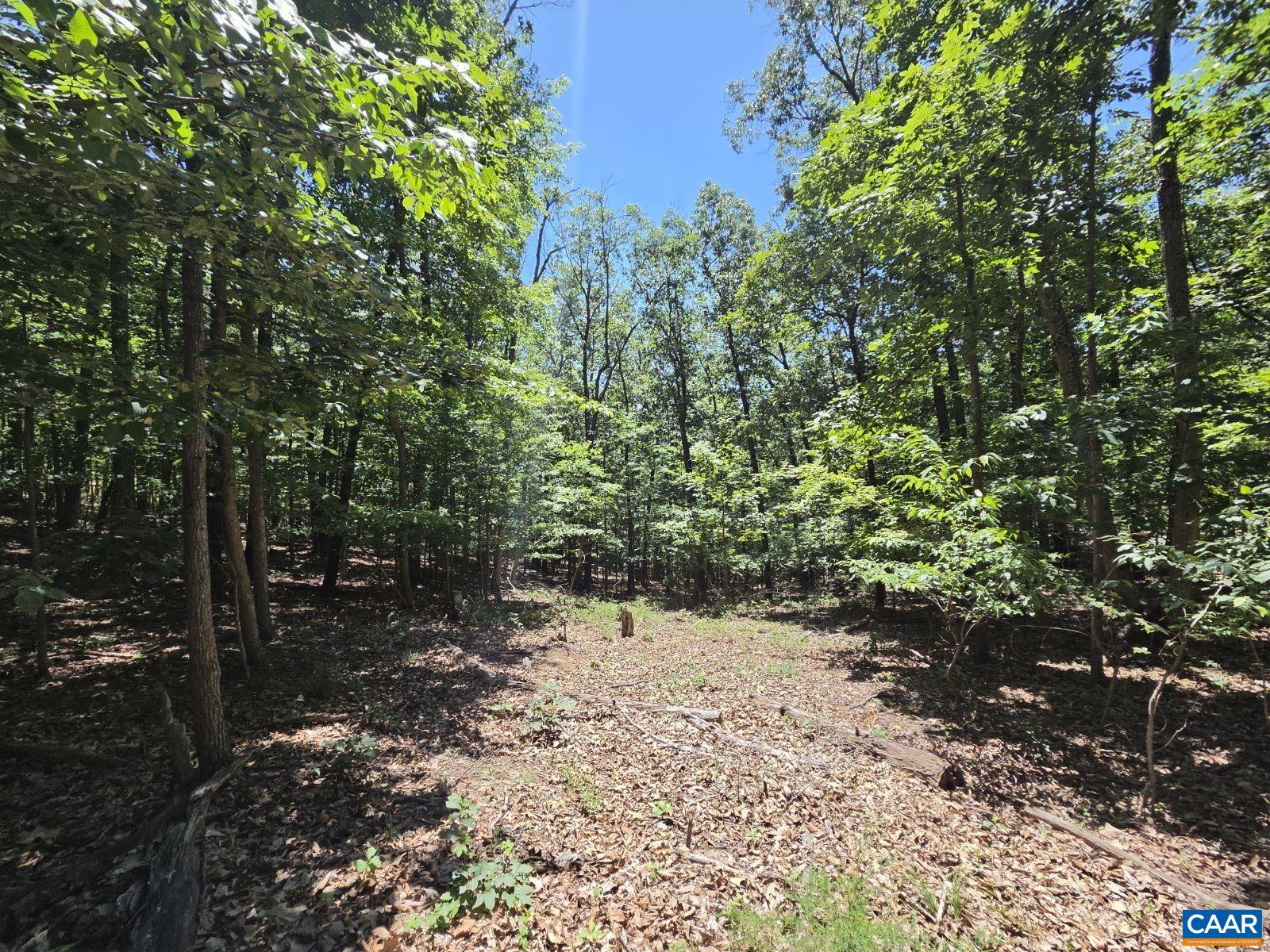 Land in Shenandoah 2