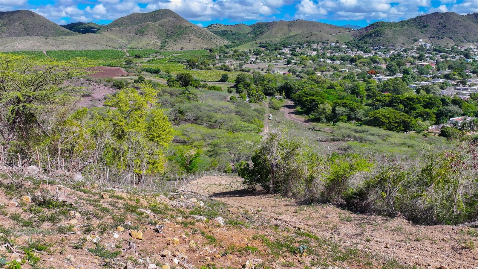 Land for sale in SABANA GRANDE, 121 ROAD 121