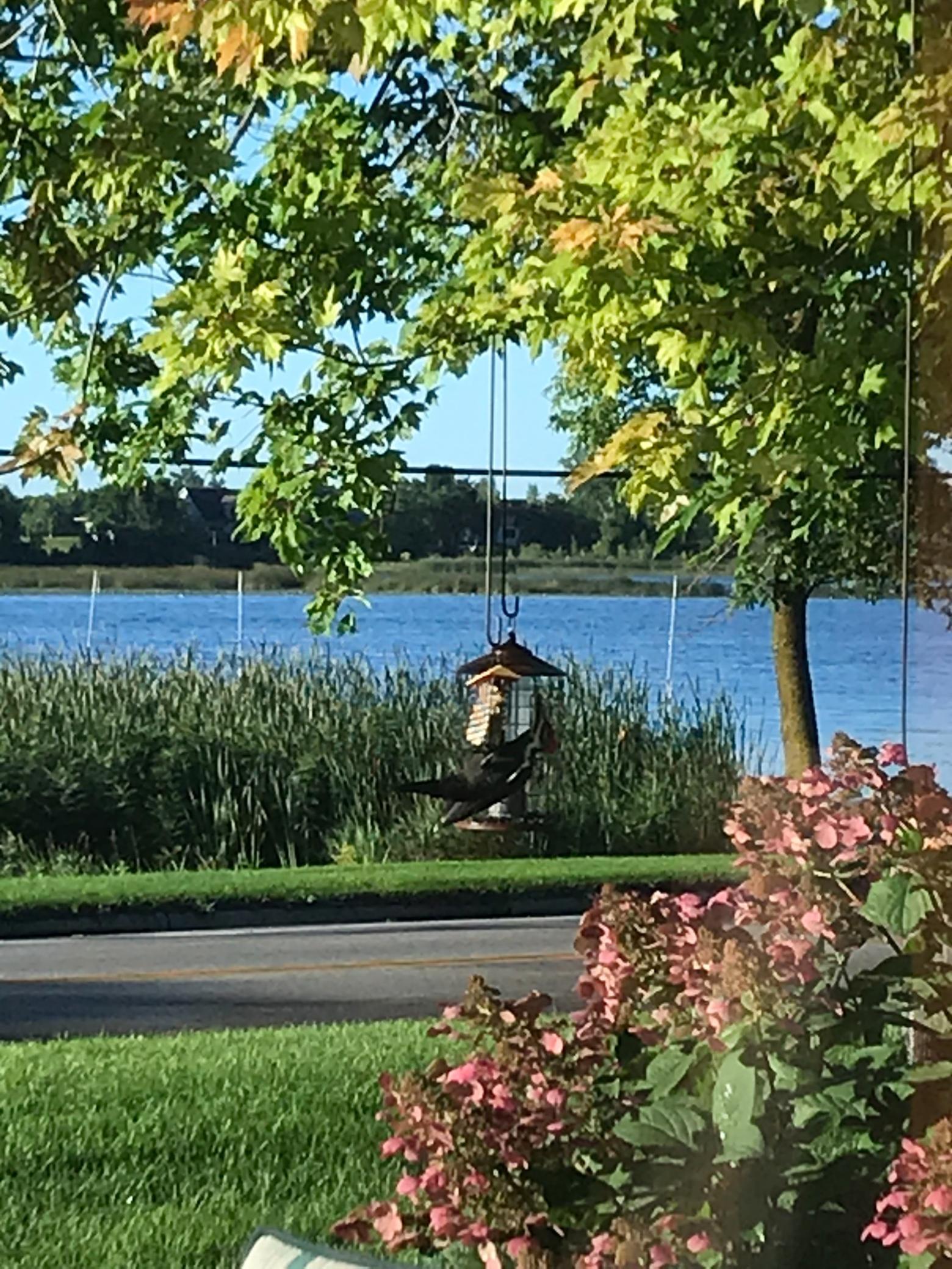 Residential in Detroit Lakes 5