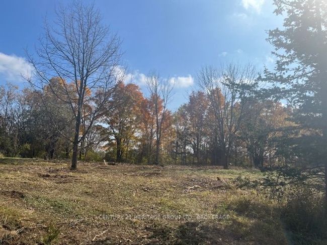 2183 Unity Rd, Home with 0 bedrooms, 0 bathrooms and null parking in Elginburg ON | Image 12