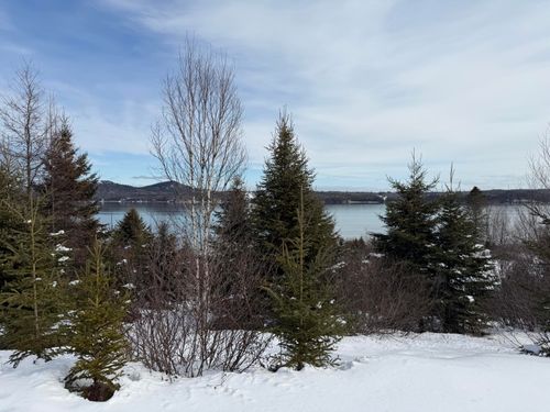 M6 L60-65 Gravel Road, Robbinston, ME, 04671 | Card Image