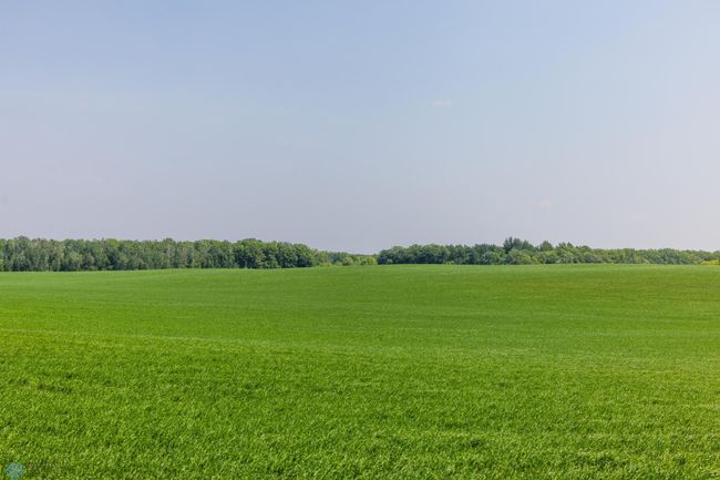 Amdak__Fosston MN - Land_0023.jpg | Image 24