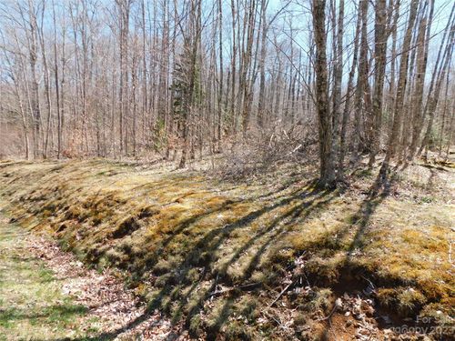 20-TBD Linville River Drive, Linville, NC, 28646 | Card Image