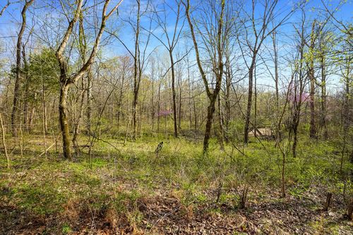 0 Melton Springs Rd, Big Rock, TN, 37023 | Card Image