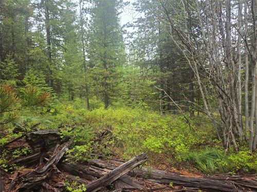 Tract 18 Nine Mile Road, Huson, MT, 59846 | Card Image