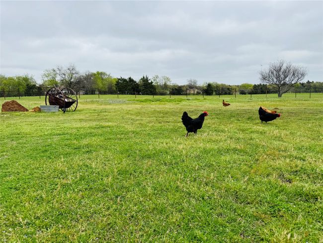 1111 Kyker Ln, House other with 3 bedrooms, 2 bathrooms and null parking in Pottsboro TX | Image 33