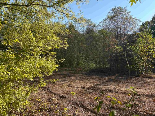 TBD Fm 607 N, Brownsboro, TX, 75756 | Card Image