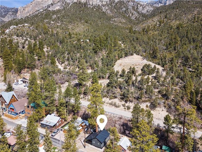 4578 Yellow Pine Ave, House other with 1 bedrooms, 1 bathrooms and null parking in Mount Charleston NV | Image 4