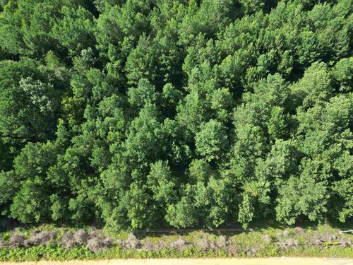 0 Janes Mill Rd, Brewton, AL, 36426 | Card Image