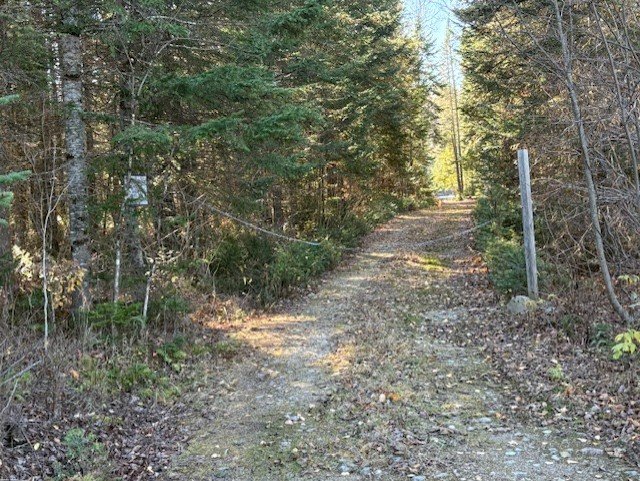 Land in Saint-Didace 5