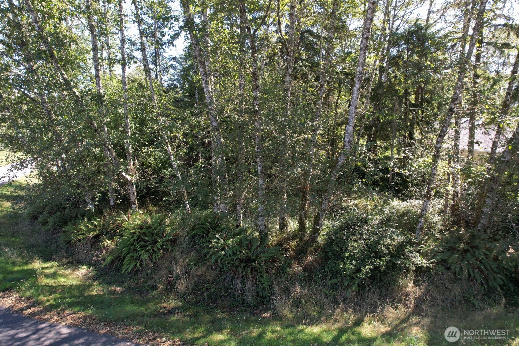 Land in Ocean Shores