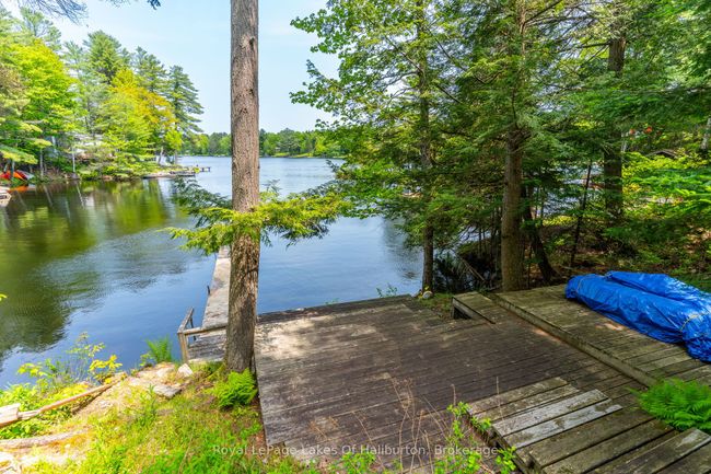 1700 Kushog Lake Rd, House other with 3 bedrooms, 2 bathrooms and 2 parking in Algonquin Highlands ON | Image 39