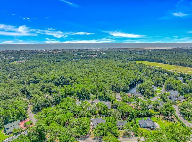 Aerial view of a forest and a large body of water | Image 35