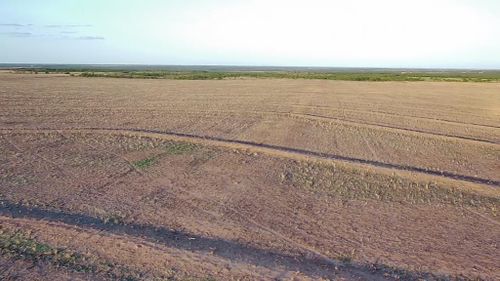 0 Brookshire Cemetery Road, Miles, TX, 76861 | Card Image
