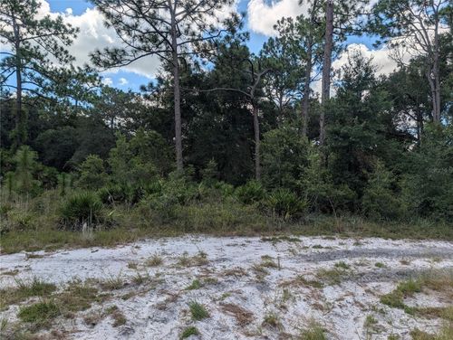 XXX Wedgewood Cir, Mount Dora, FL, 32757 | Card Image