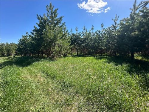 0 Lynch Rd, Admaston/Bromley, ON, K7V3Z7 | Card Image