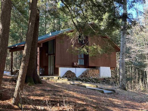 290 Village Ln, Brownsville, VT, 05037-3019 | Card Image