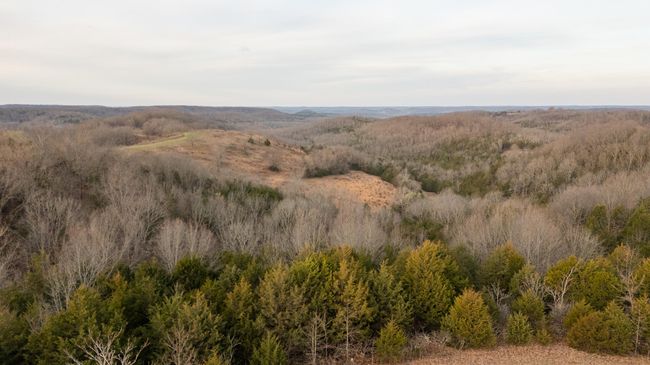 175 drone-24 | Image 45