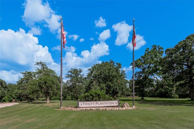 Welcome to Trinity Plantation! | Image 9