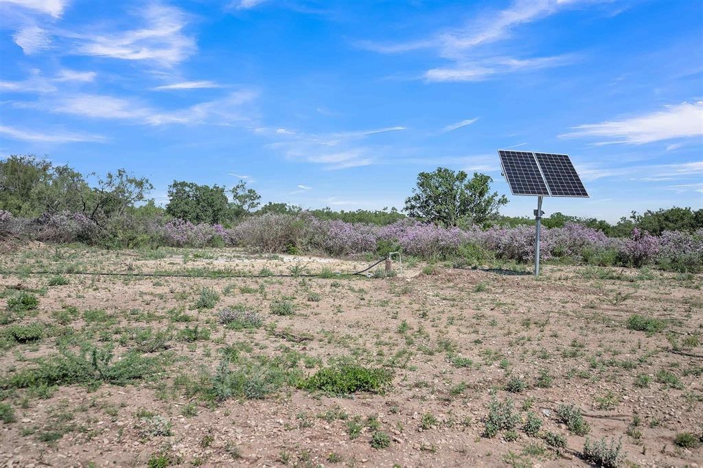 Land in Del Rio 2