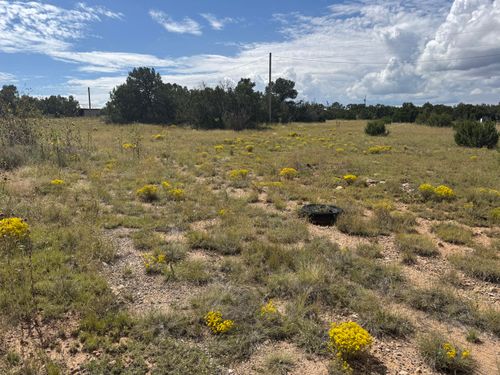 296 Pohl Rd, Tijeras, NM, 87059-8501 | Card Image