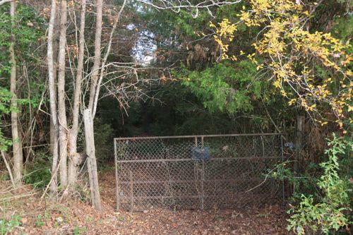 15121 State Highway 87 S, Kirbyville, TX, 75956 | Card Image