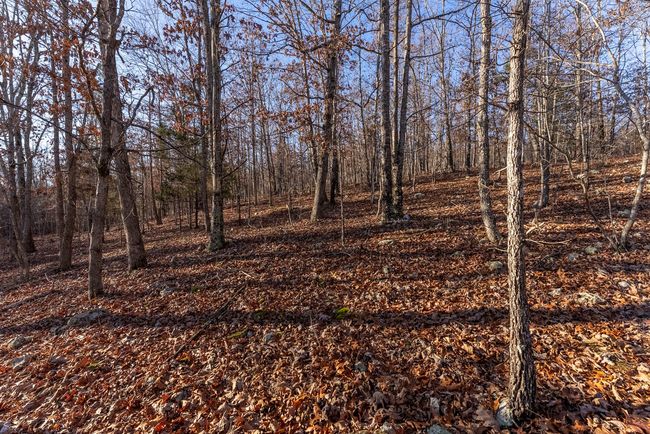 23 Acres008 | Image 10