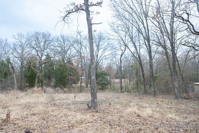 5472 Sam Houston Dr, Home with 0 bedrooms, 0 bathrooms and null parking in Log Cabin TX | Image 4