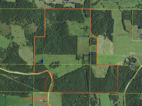000 Grimes Mill Dr, Mountain Grove, MO, 65711 | Card Image