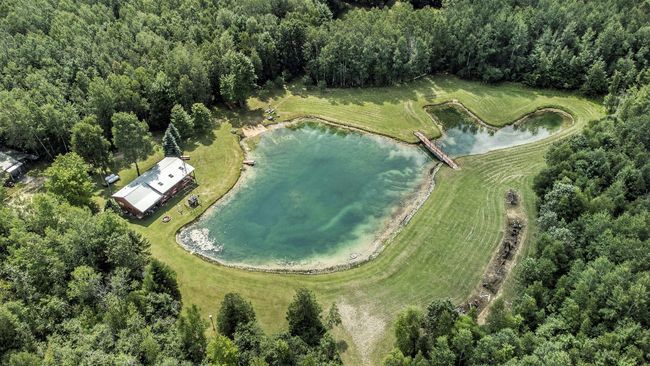 pond | Image 24