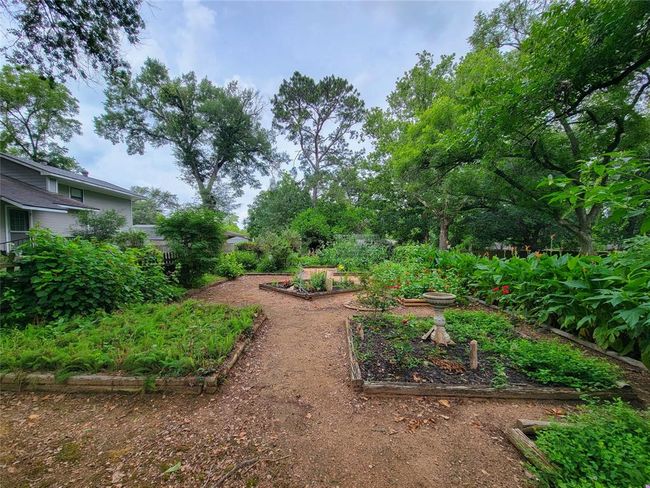 Discover the joy of your own flourishing garden, perfect for growing fresh vegetables, herbs, and flowers. | Image 35