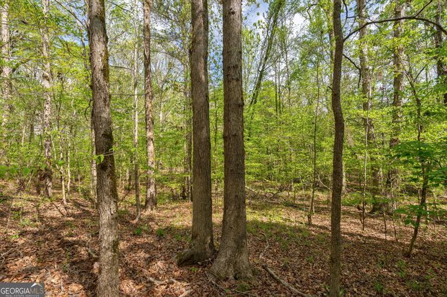 0 Skull Shoals Rd, Home with 0 bedrooms, 0 bathrooms and null parking in Washington GA | Image 13