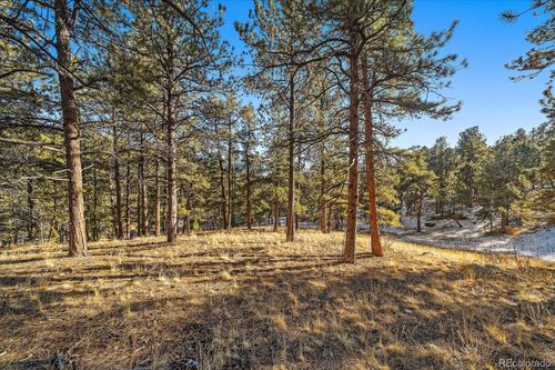0000 Fish Pond Way, Pine, CO, 80470 | Card Image