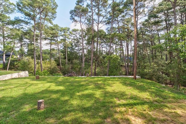 118 Waialua Ct, House other with 3 bedrooms, 3 bathrooms and 4 parking in Bastrop TX | Image 22