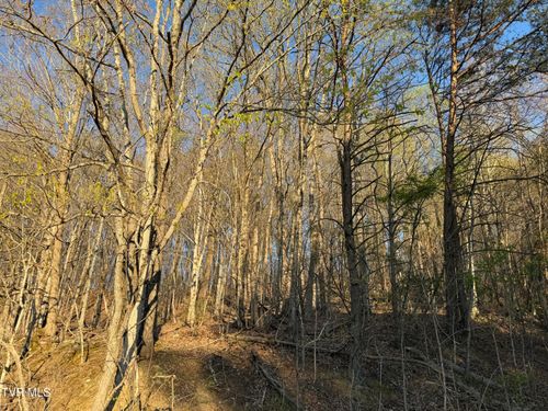 Tbd Possum Hollow Road, Johnson City, TN, 37615 | Card Image