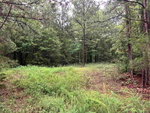 TBD Riverfront Dr, Oden, AR, 71961 | Card Image