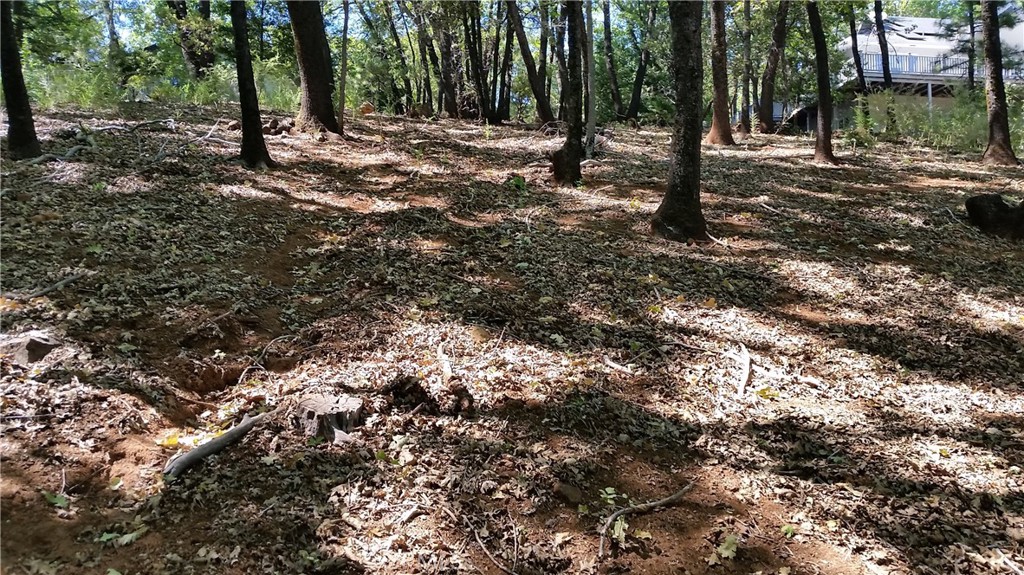 Land in Magalia